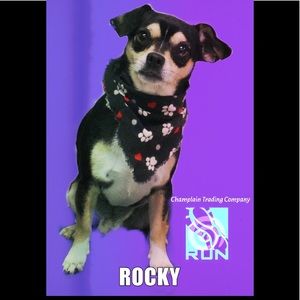 Meet your Posher, John